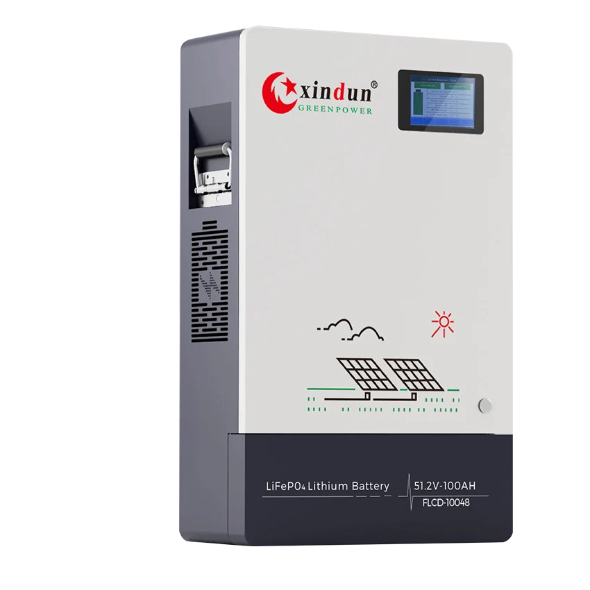 48V 100Ah LiFePO4 Battery with Advanced BMS for Solar Power Storage Xindun