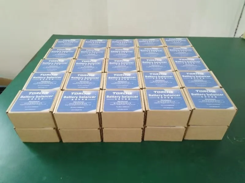 24V Lead Acid Batteries Equalizer for LiFePO4 Batteries | Voltage Balancer | TORCHN