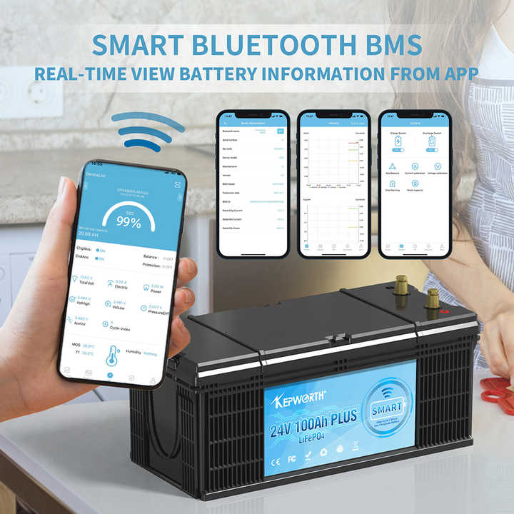 24V 100Ah LiFePO4 Battery with Bluetooth BMS for Solar Storage and Electric Vehicles Kepworth