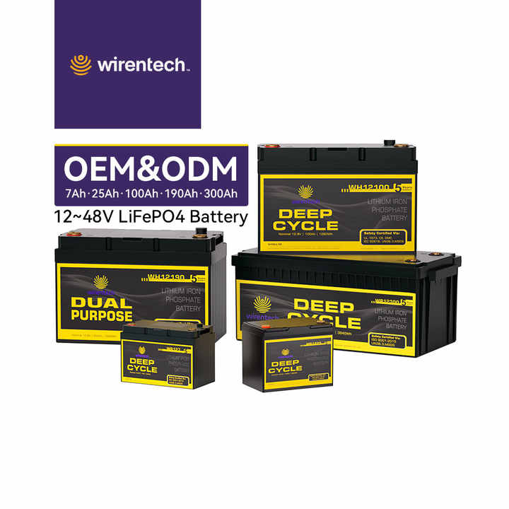 Lithium Iron Phosphate Battery Pack 12V-48V 100Ah 7Ah 24V 120Ah 200Ah 300Ah High-Cycle Life for Electric Vehicles OEM ODM