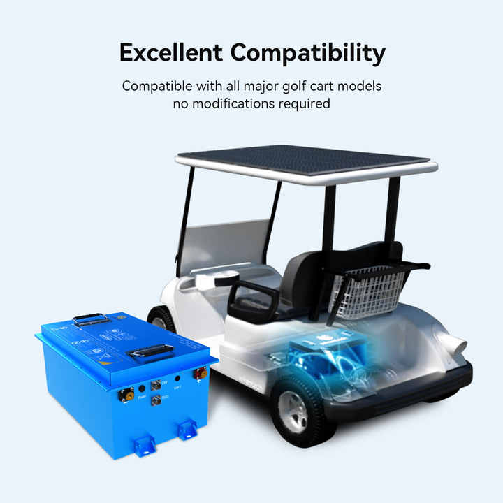 51.2V 50Ah 100Ah 300Ah Lithium Iron Phosphate Battery Pack for Electric Forklift Golf Cart Energy Storage Systems wirentech