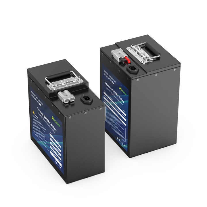 Genuine Quality 60V LiFePO4 Battery Pack 20Ah/30Ah/50Ah High-Capacity Long Cycle Life for E-Scooters Motorcycles DELONG