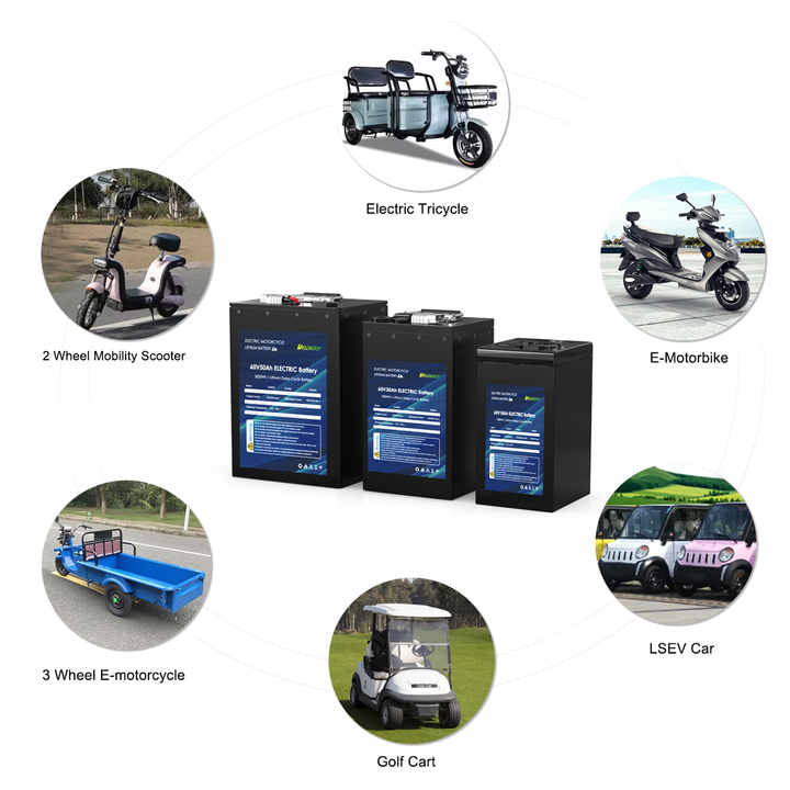 Lithium Iron Phosphate Battery 48V 64V 72V 76.8V 25Ah 30Ah 50Ah High-Capacity Long Cycle Life for Electric Vehicles and Energy Storage DELONG
