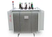 Oil Immersed Distribution Transformer High-Performance Design for Power Grid Applications