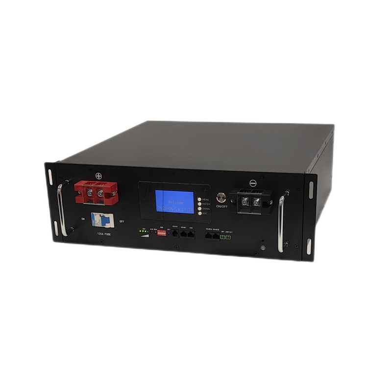 Rack-Mount Residential Solar Storage System 48V 100Ah Lithium Battery for Home Energy Storage WENREY