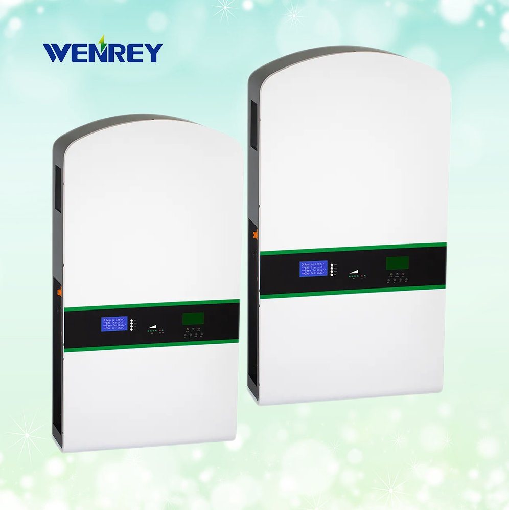 Wall Mount Power Supply 10kWh 25kWh 30kWh Solar 200Ah 48V 51.2V LiFePO4 Battery Energy Storage System for Home Energy Storage WENREY