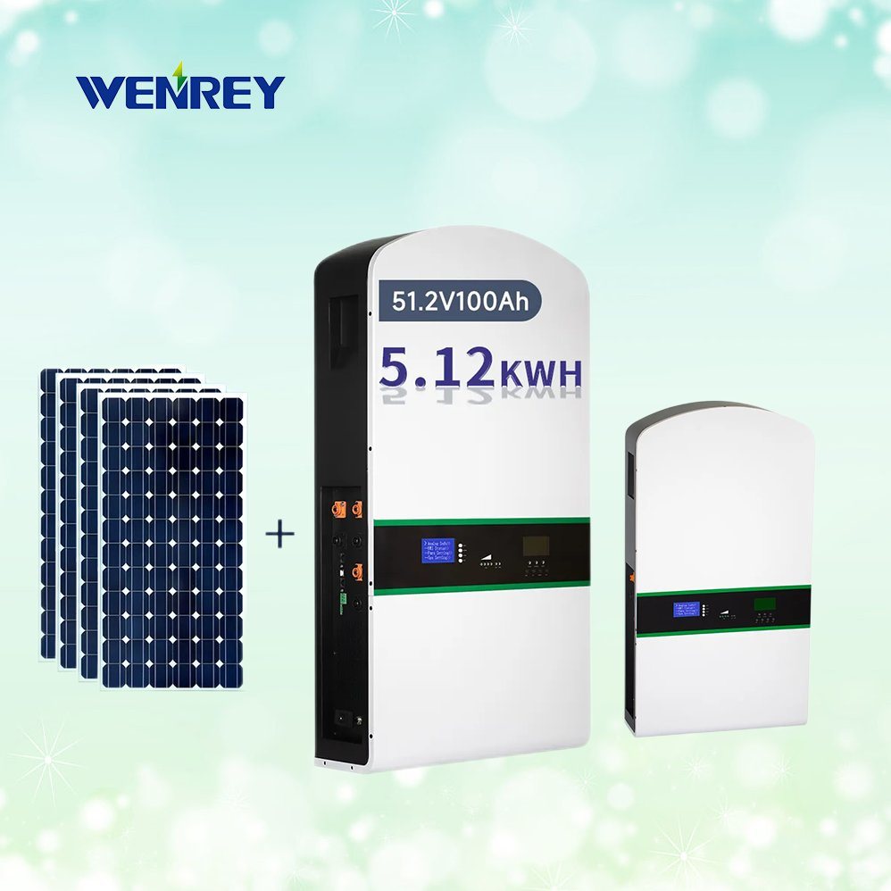 Wall Mount Power Supply 10kWh 25kWh 30kWh Solar 200Ah 48V 51.2V LiFePO4 Battery Energy Storage System for Home Energy Storage WENREY