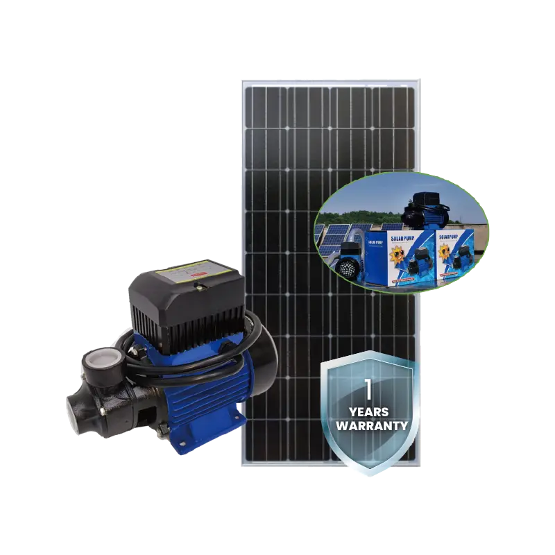 6SSC AC/DC Series 4SSPC Solar/AC/DC PMSM Submersible Pumps High-Efficiency Stainless Steel Motor for Deep Well Water Pumping