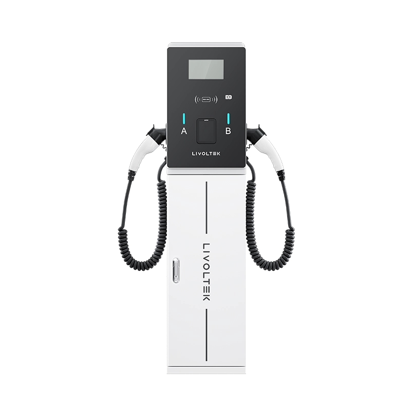 Bush Series AC EV Charger 2*22kW/2*7.3kW IP55 Rated Dual Gun with Display for Public Charging Stations LIVOLTEK