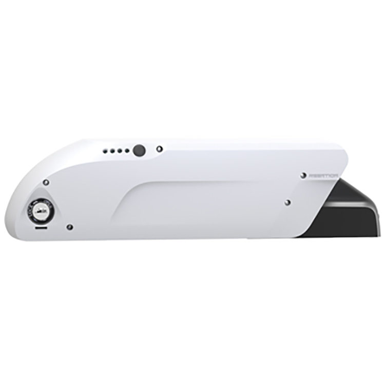 Silver fish lithium battery 36V-48V High Energy Density Mobile Power Supply, Lamp, UPS, Portable Tools THBATTERY