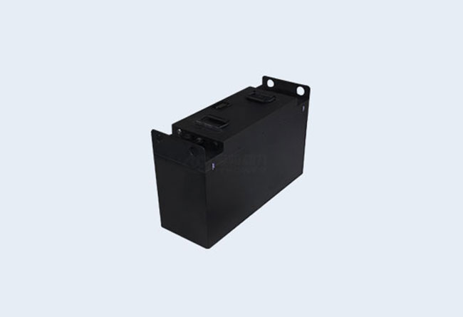 Electric Patrol Car 48V100Ah High-Capacity Deep Cycle Battery for Security and Surveillance Vehicles IYPower