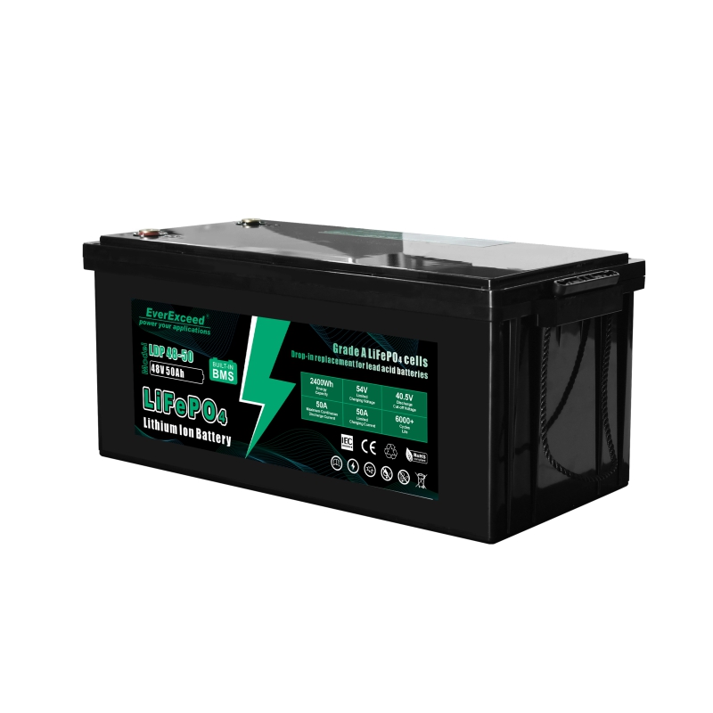 Lithium Ion Battery 38.4V/48V 100Ah/50Ah Long Life Cycle for Golf Cart EverExceed