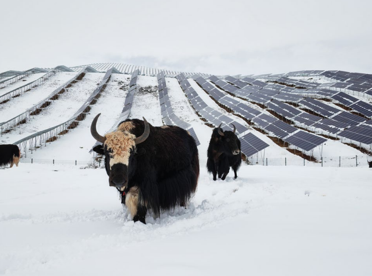 BESS Power Station 0.5MW/1MWH to 6.7MWH Utility-Scale Energy Storage for Commercial and Industrial Applications