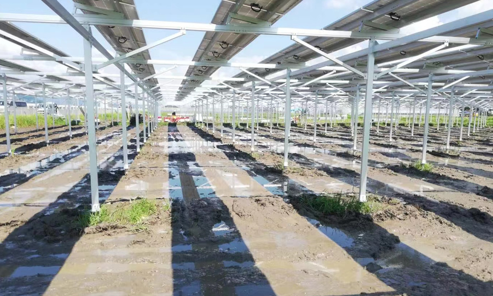 ARES PV Agriculture Kit 30KW-1000KW BIPV Racking System for Dual Land Use in Farming & Solar Power Shinson