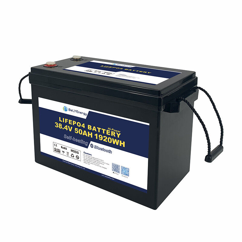 High-Performance 36V LiFePO4 Battery Pack 10 Year Lifespan 50A Discharge for Solar Marine RV BELY